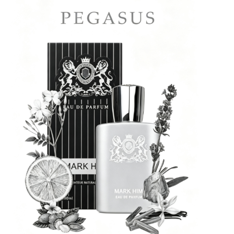 100ml 마크 히 남성 향수, 오래 지속되는 마그네틱 - Perfume In Fragrance 리뷰 및 가격