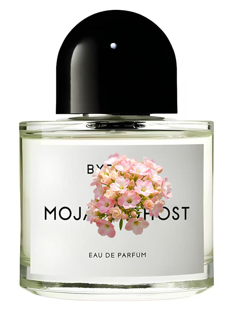 유니섹스 오 드 퍼퓸 100ml 3.4 fl.oz 럭셔 - Perfume Fragrance For Women 리뷰 및 가격