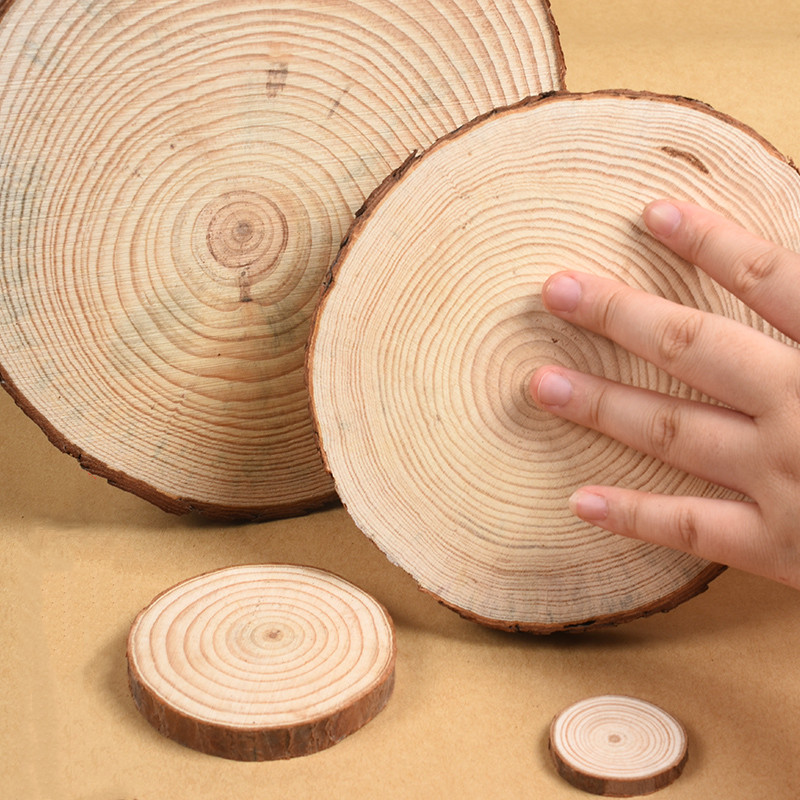 2-16cm 두께 0.5-1.5 cm 나무 껍질 로그  - Oud Wood Chip 리뷰 및 가격